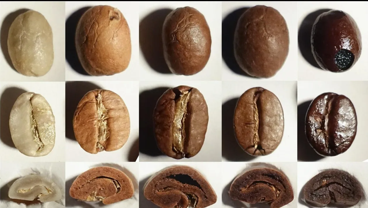 التحميص ونفاذية الماء